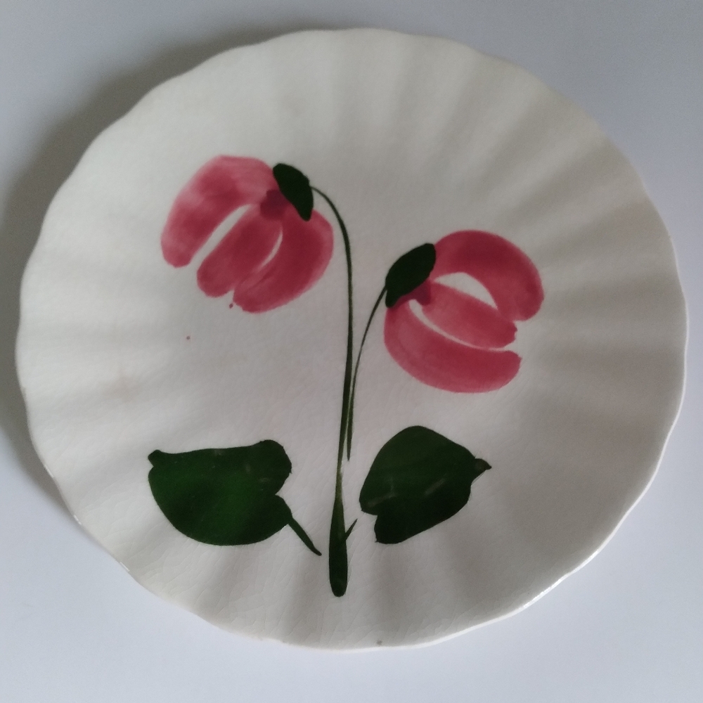 BLUE RIDGE PLATE